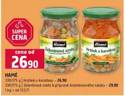 Terno Hamé nabídka