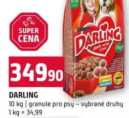 Terno Darling nabídka