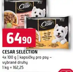 Terno Cesar selection nabídka