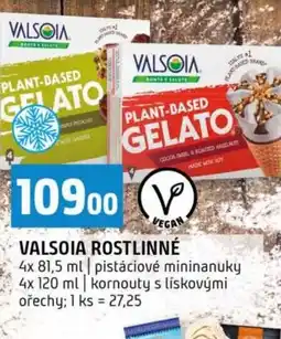 Terno Valsoia rostlinné nabídka