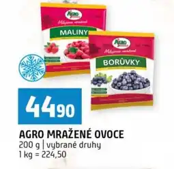 Terno Agro mražené ovoce nabídka