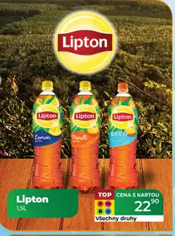Tamda Foods Lipton nabídka
