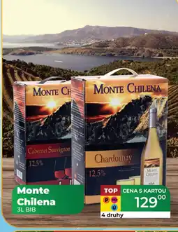 Tamda Foods Monte Chilena nabídka