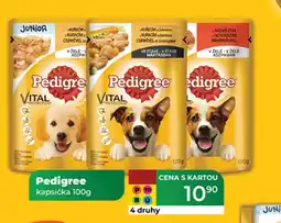 Tamda Foods Pedigree kapsička nabídka