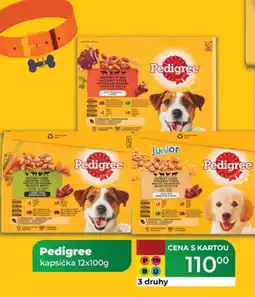 Tamda Foods Pedigree kapsička nabídka