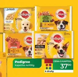 Tamda Foods Pedigree kapsička nabídka