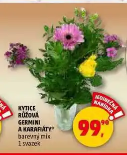 Penny Market KYTICE RŮŽOVÁ GERMINI A KARAFIÁTY, 1 svazek nabídka