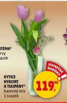 Penny Market KYTICE HYACINT A TULIPÁNY, 1 svazek nabídka