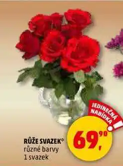 Penny Market RŮŽE SVAZEK, 1 svazek nabídka