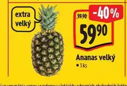 Albert Ananas nabídka