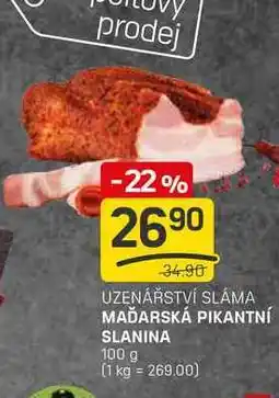 Flop MAĎARSKÁ PIKANTNÍ SLANINA 100 g nabídka