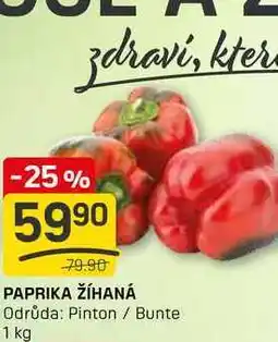 Flop PAPRIKA ŽĺHANÁ Odrůda: Pinton / Bunte 1 kg nabídka