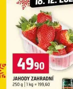 Terno JAHODY ZAHRADNÍ 250 g nabídka
