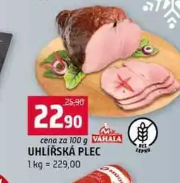 Terno VAHALA UHLÍŘSKÁ PLEC 1 kg nabídka