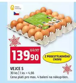 Terno VEJCE S 30 ks nabídka