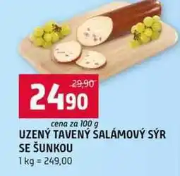 Terno UZENÝ TAVENÝ SALÁMOVÝ SÝR SE ŠUNKOU 100g nabídka