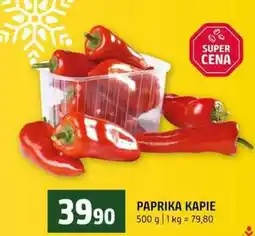 Terno PAPRIKA KAPIE 500 g nabídka