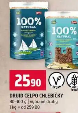Terno DRUID CELPO CHLEBÍČKY 80-100 g vybrané druhy nabídka