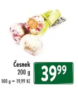 Qanto Česnek nabídka