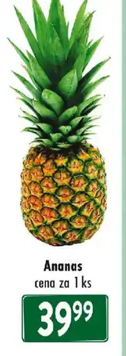 Qanto Ananas nabídka