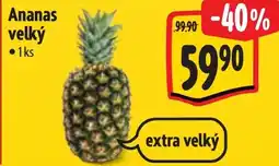 Albert Ananas velký nabídka