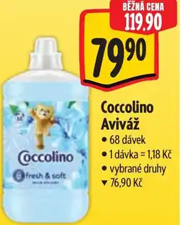 Albert Coccolino Aviváž nabídka