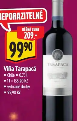 Albert Viña Tarapacá nabídka