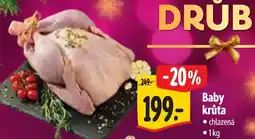 Albert Baby krůta nabídka