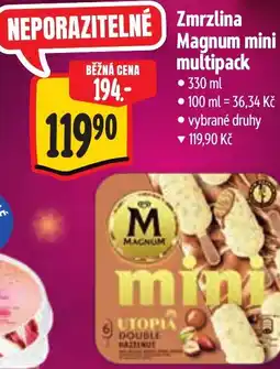 Albert Zmrzlina Magnum mini multipack nabídka