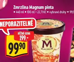 Albert Zmrzlina Magnum pinta nabídka