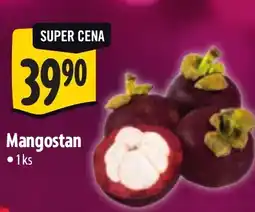 Albert Mangostan nabídka