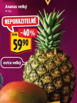 Albert Ananas velký nabídka