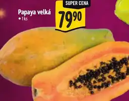 Albert Papaya velká nabídka