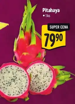 Albert Pitahaya nabídka