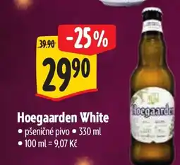Albert Hoegaarden White nabídka