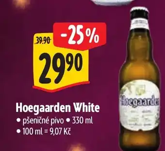 Albert Hoegaarden White nabídka