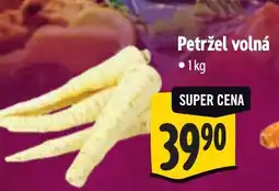 Albert Petržel volná nabídka