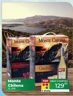 Tamda Foods Monte Chilena 3L BIB nabídka