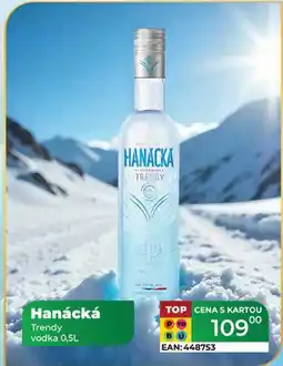 Tamda Foods Hanácká Trendy vodka 0,5L nabídka
