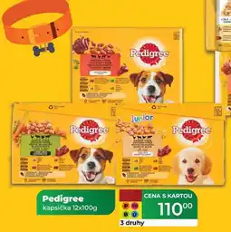 Tamda Foods Pedigree kapsička 12x100g nabídka