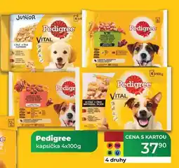 Tamda Foods Pedigree kapsička 4x100g nabídka