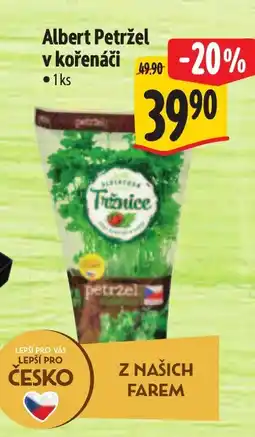 Albert Albert Petržel v kořenáči nabídka