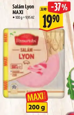 Albert Salám Lyon MAXI nabídka