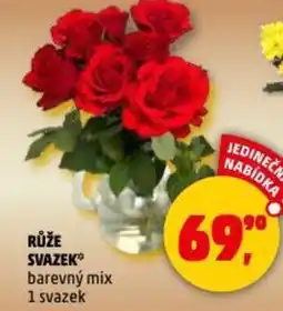 Penny Market Růže svazek nabídka