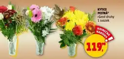 Penny Market Kytice pestrá nabídka