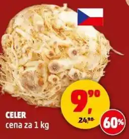 Penny Market Celer nabídka