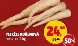 Penny Market Petržel kořenová nabídka