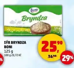 Penny Market Sýr bryndza boni nabídka
