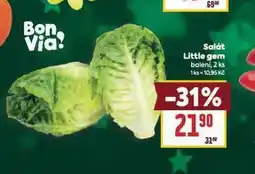 Billa Salát little gem nabídka