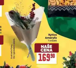 Billa Kytice amarylis nabídka